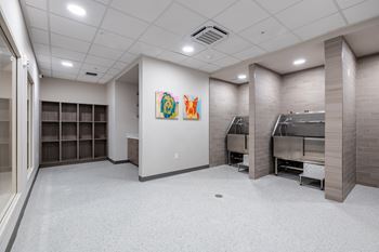 Dog care center